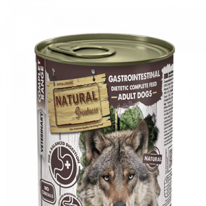 Húmedo Gastrointestinal Natural greatness