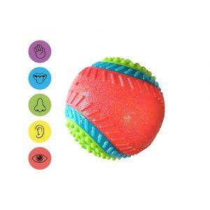 Pelota 5 sentidos